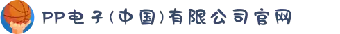 PP电子(中国)有限公司官网